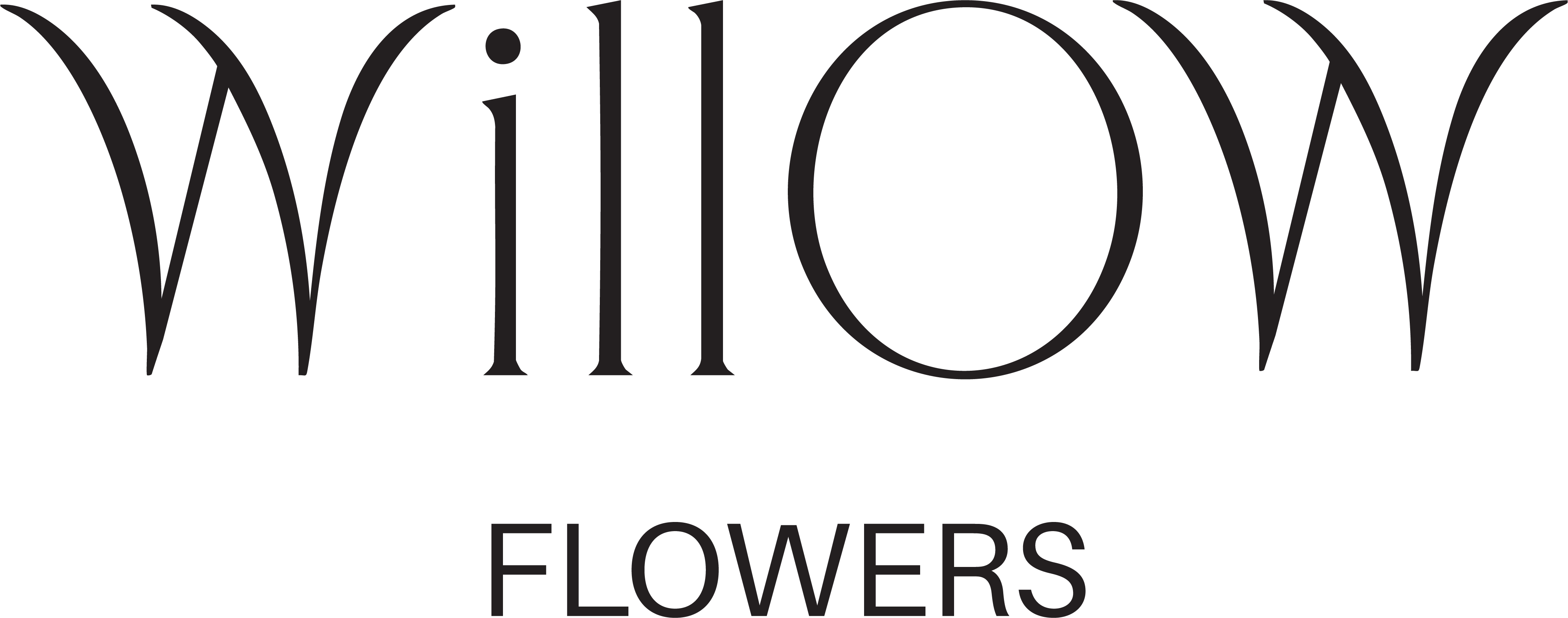 Willow Flowers